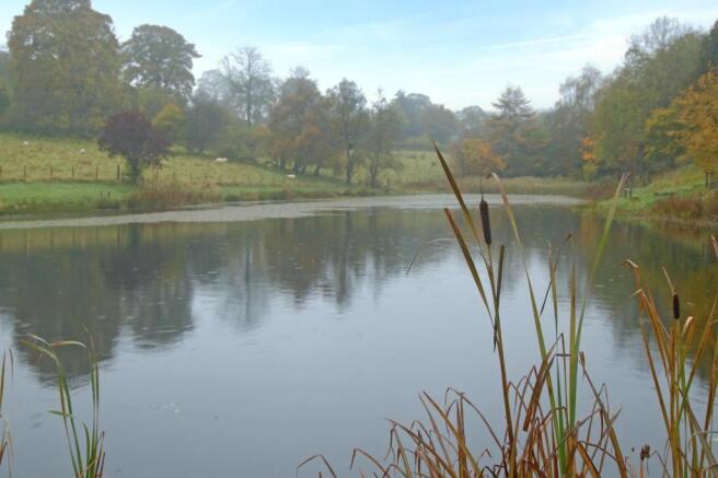Well-stocked trout lake