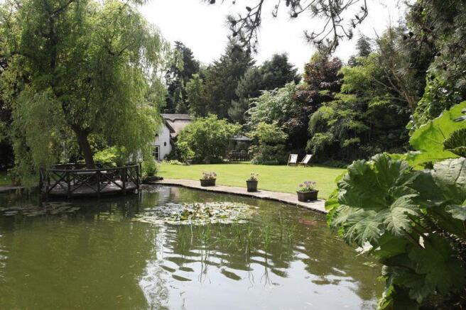 Pond & Garden