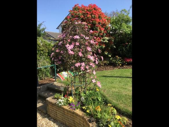 Photo 15