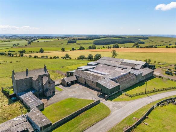 Steading