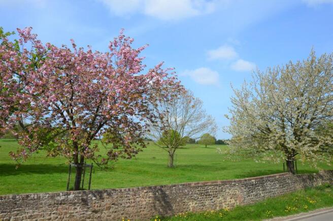 View from front garden