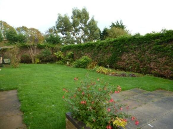Garden 1