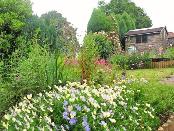 Garden 6.jpg