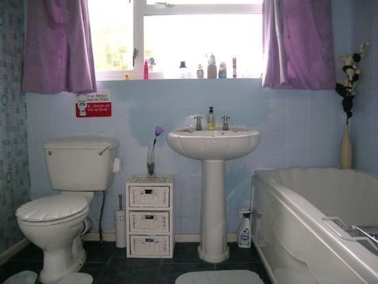 Picture 7