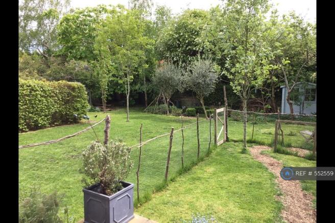 Back Garden