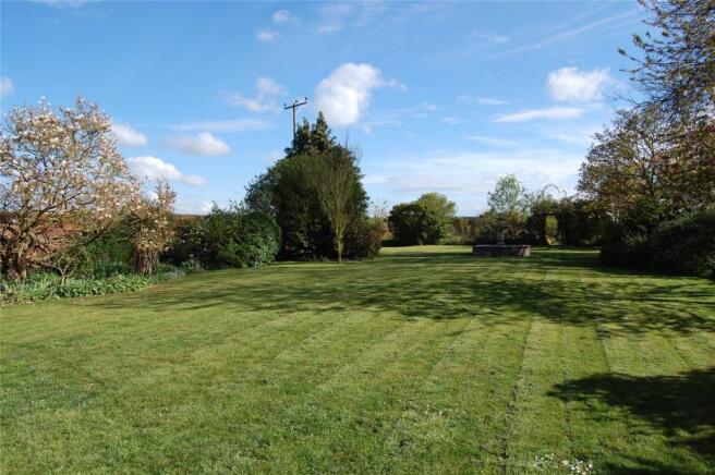 Back Garden