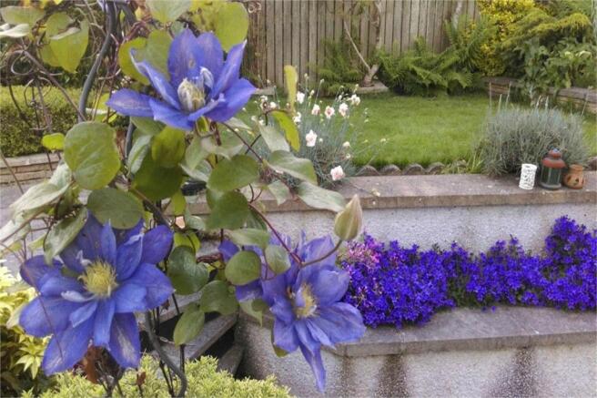 Photo 20