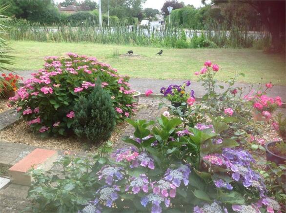 Photo 11