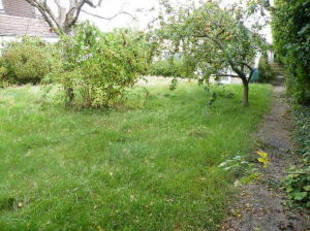 Side Garden