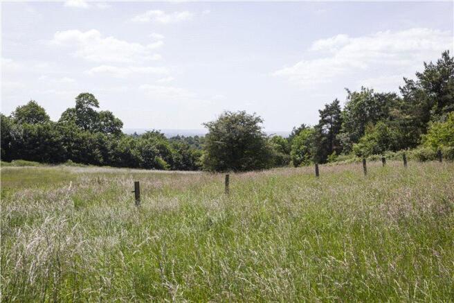 Woolpits