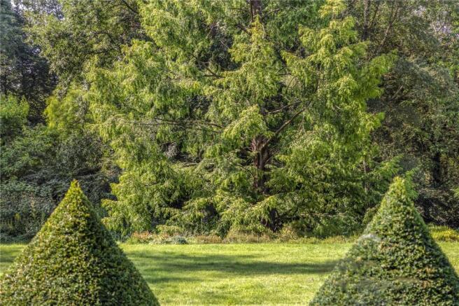 Grounds