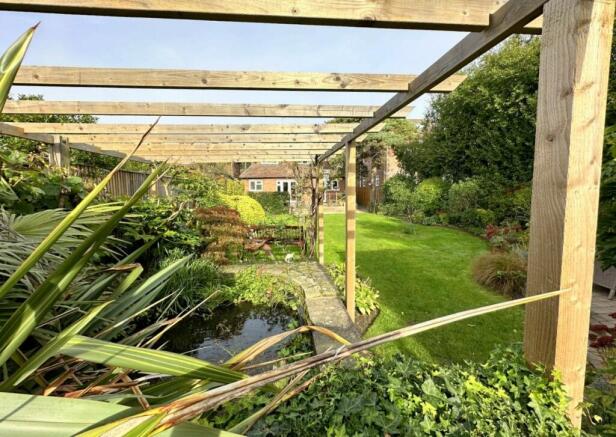 Pond