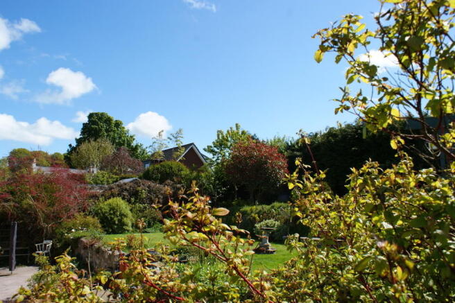 Photo 26