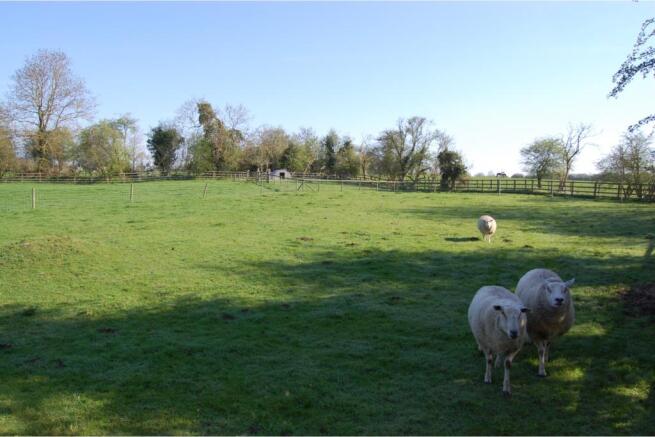 Paddock