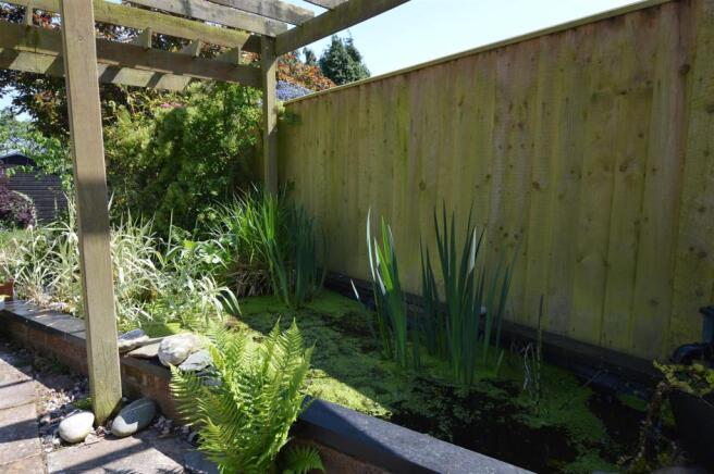 Fish Pond