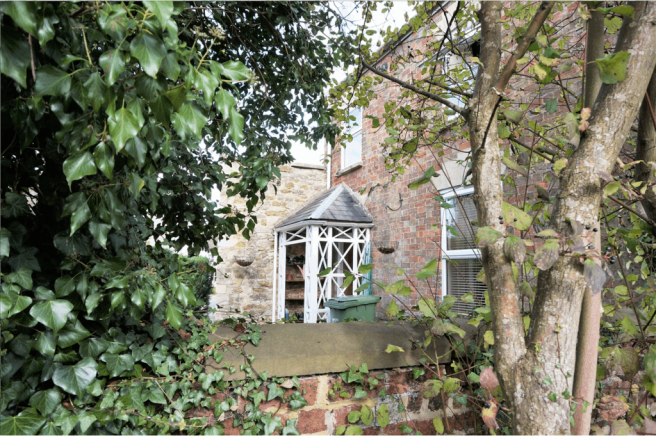 The Property