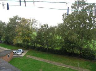 Kitchen view