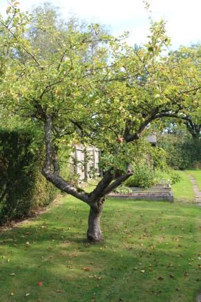 Photo 22