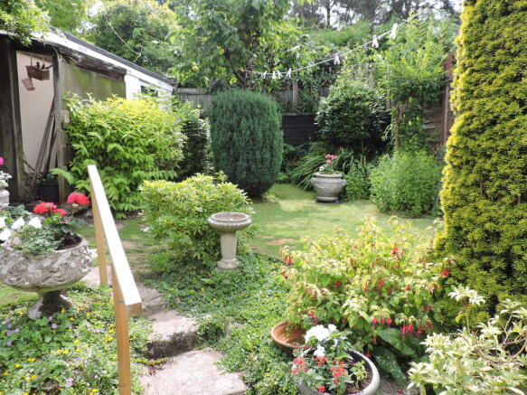 Photo 8