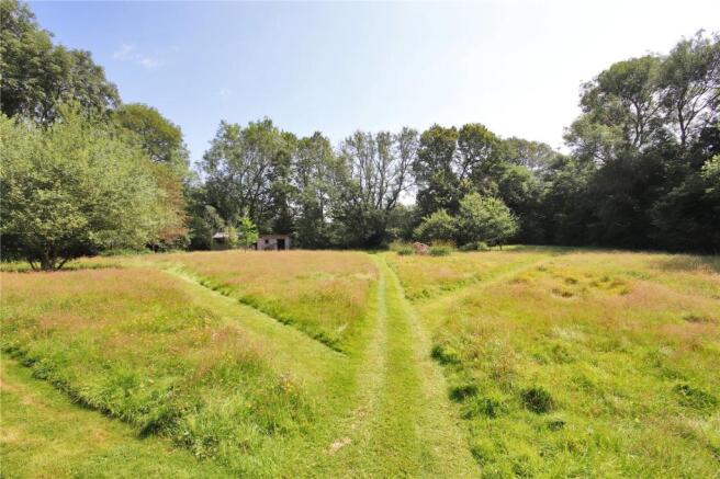 Meadow