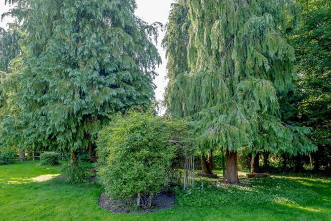 COMMUNAL Garden