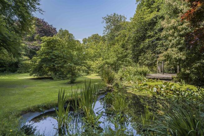 Upper Garden - Wildlife Pond