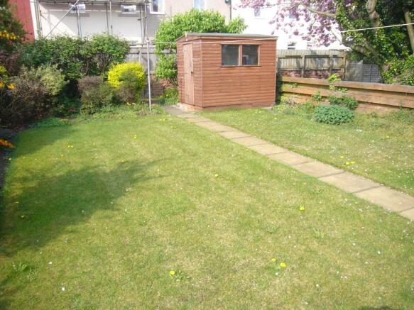 Photo 11