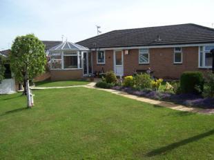 Rear Elevation