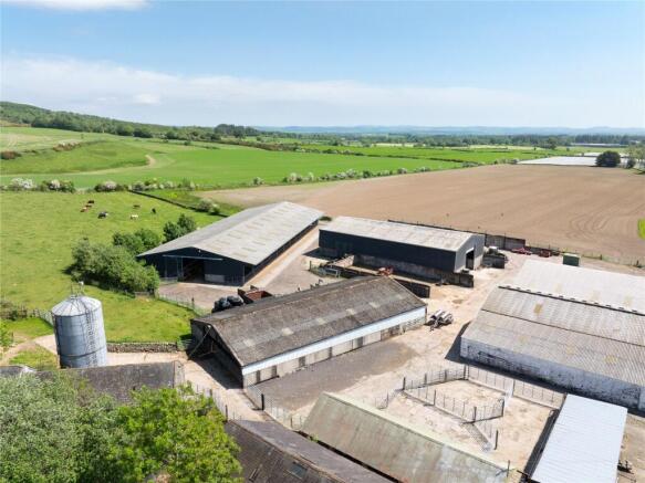 Steading