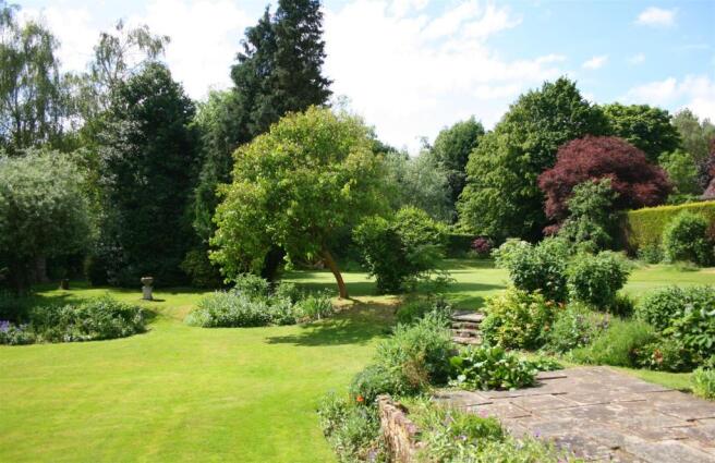 garden.JPG