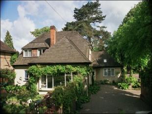 Rear of Property