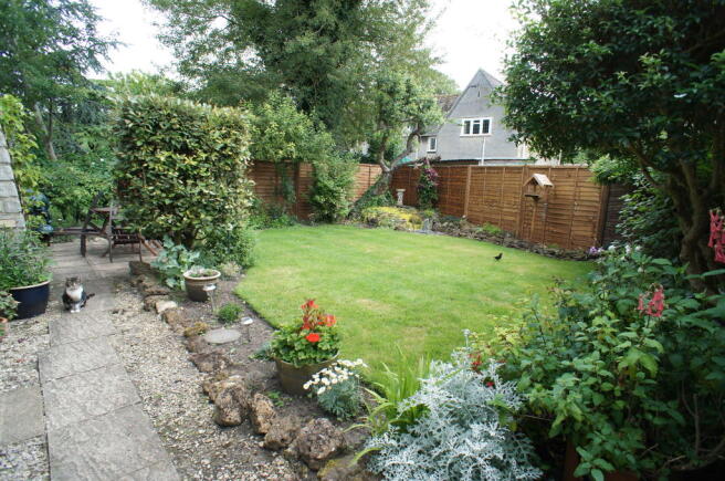 Photo 11