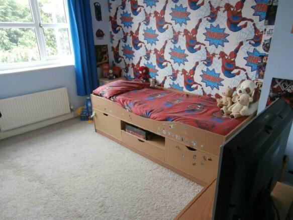 Photo 8