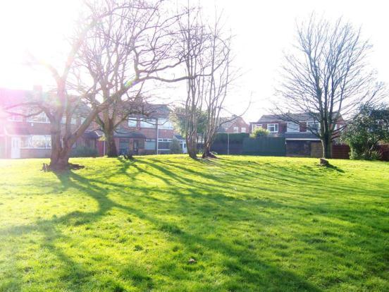 Communal Green