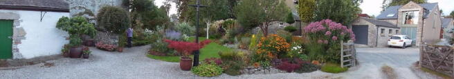 Photo 20