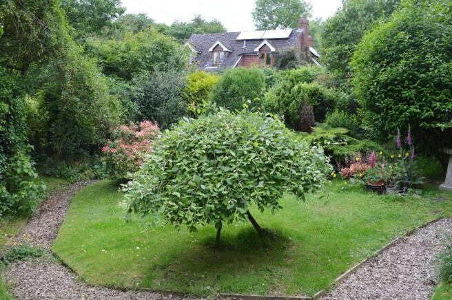 Photo 21