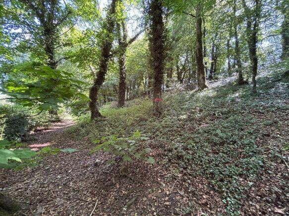 Woodland_ECW