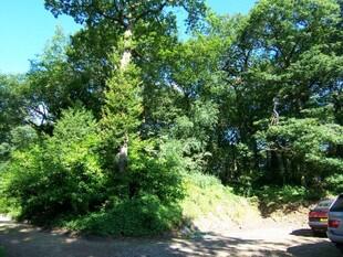 Garden/Parking