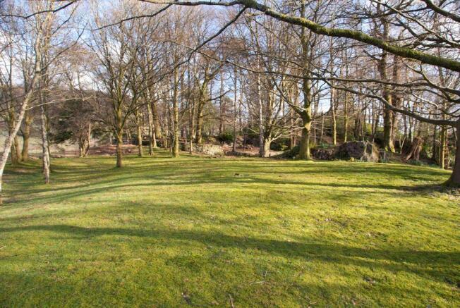 Communal Garden
