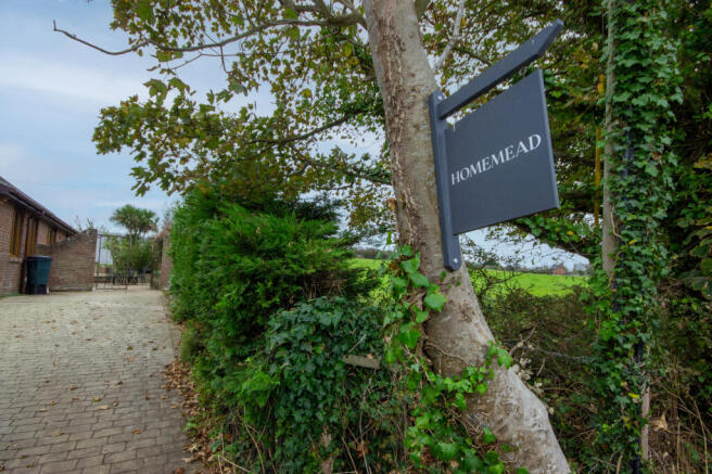 homemead-02 copy