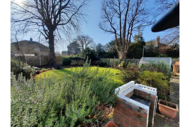 garden