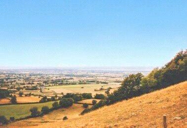 Picture No. 25