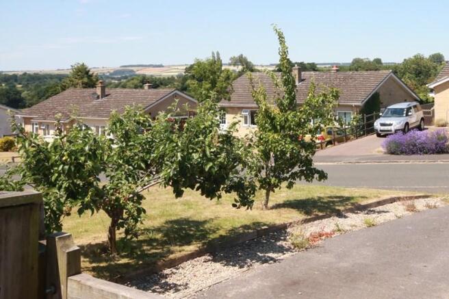View from Driveway