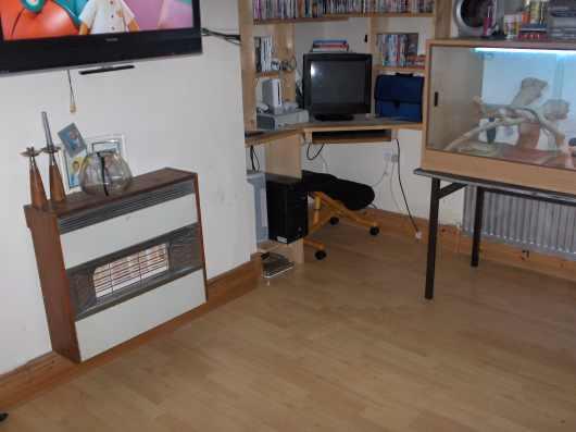 Photo 4