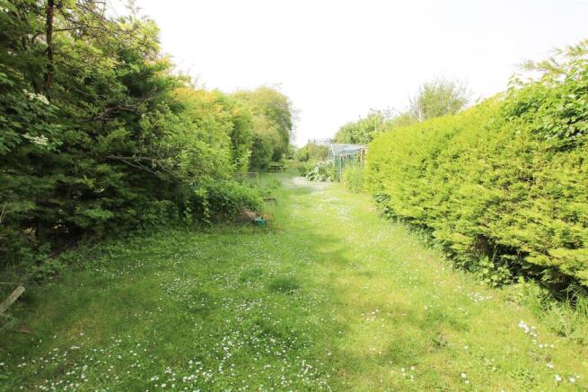 Garden 4.jpg