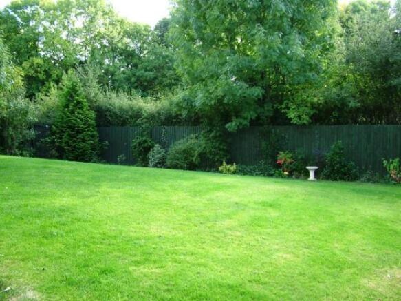 Garden 1