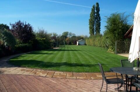 Garden with patio
