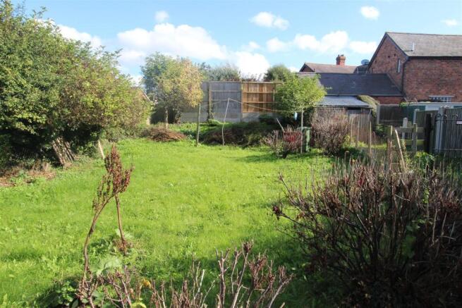 Back Garden