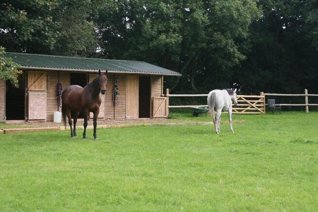 Stables and paddock