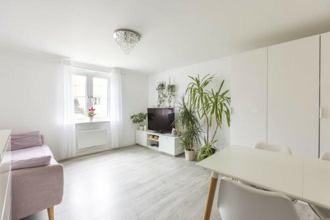 Lounge / Dining Room